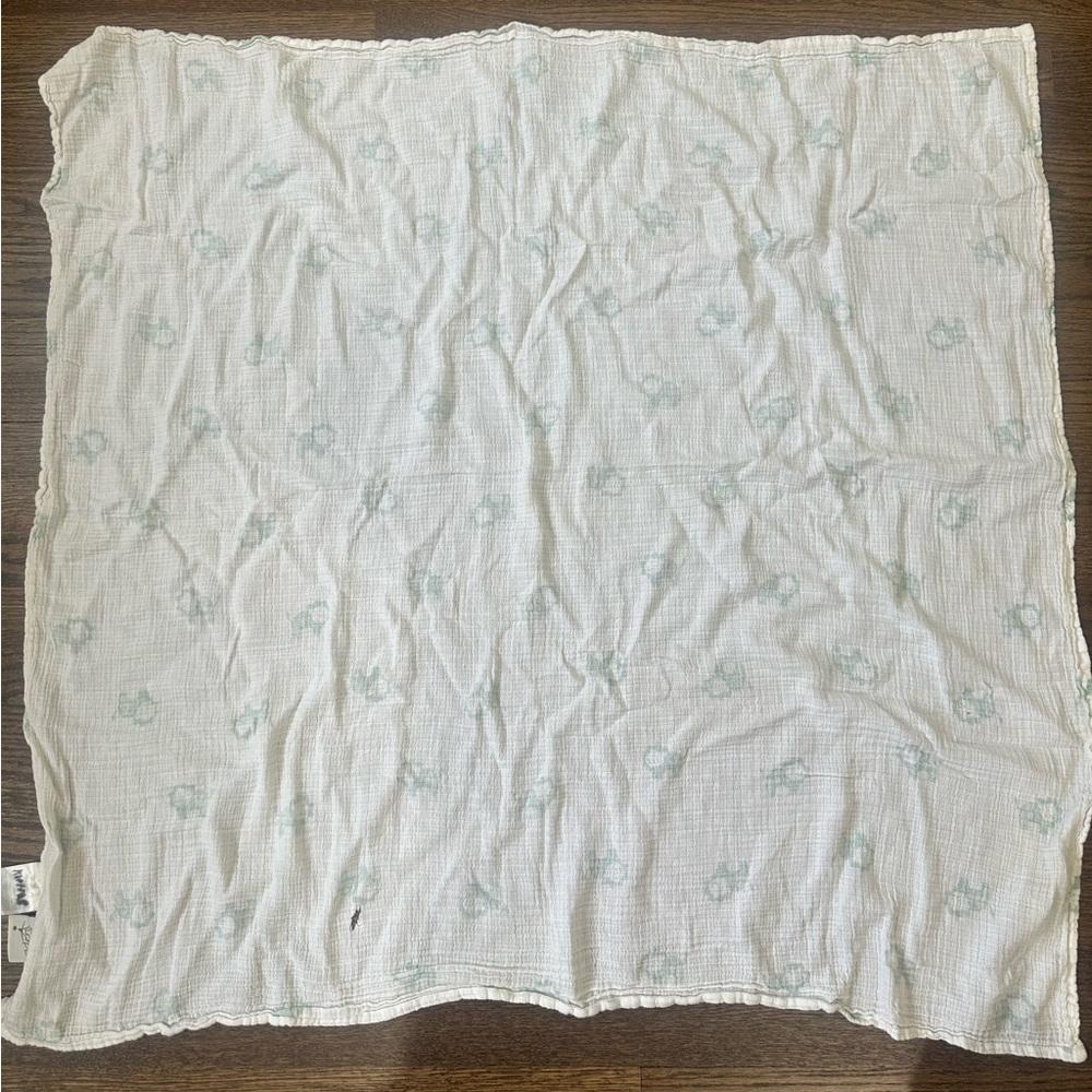 Aden + Anais Blue Lion Muslin Swaddle 🦁